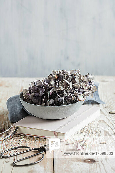 Studio shot of bowl with dried hydrangeas standing on top of note pad