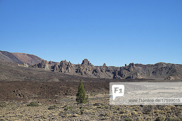 Idyllischer Llano de Ucanca im Nationalpark El Teide unter klarem blauen Himmel an einem sonnigen Tag  Teneriffa  Kanarische Inseln  Spanien