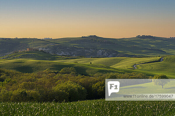 Italy  Province of Siena  Meadow in Val dOrcia at springtime dusk