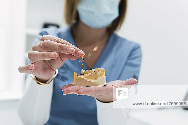 Dentist holding dentures in medical clinic
