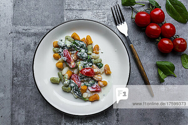 Studio shot of plate of gnocchi with gorgonzola cheese  spinach and tomatoes