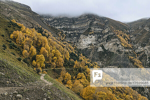 Russia  Dagestan  Forested mountain ridge in autumn