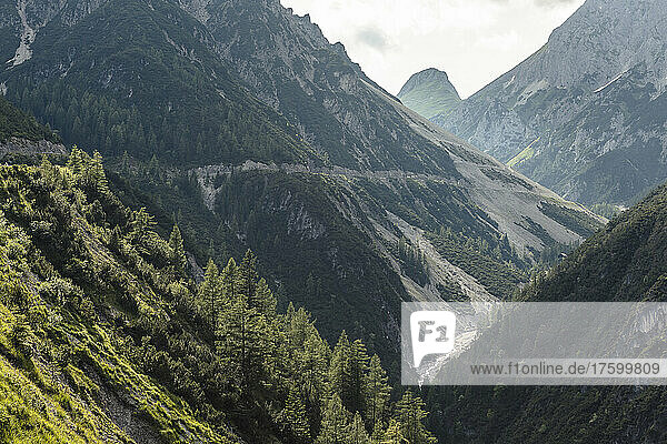 Beautiful view of Lechtal valley  Pfafflar  Tirol  Austria