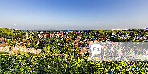 France  Alsace  Ribeauville  Panoramic view of rural town in summer