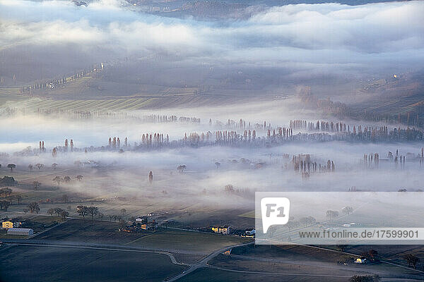 Italy  Umbria  Gubbio  Countryside fields shrouded in thick morning fog