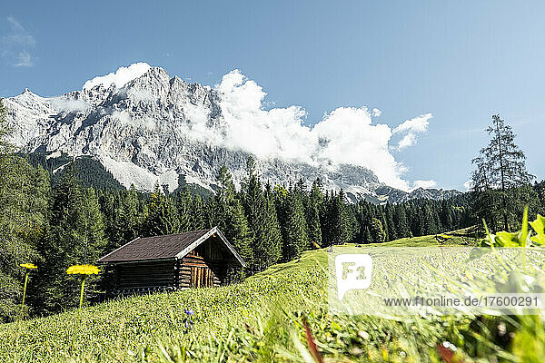 Barn standing in alpine meadow with Zugspitze mountain in background