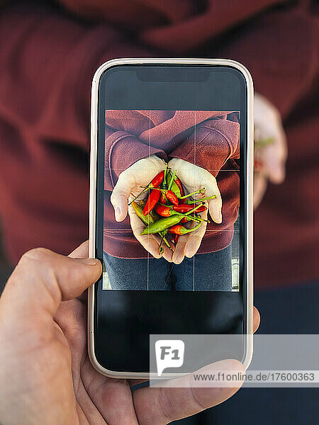 Man photographing woman holding chilies through smart phone
