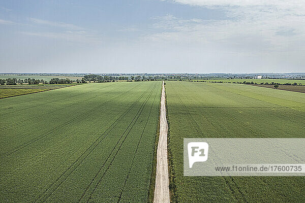 Drone view of dirt road stretching through green countryside field
