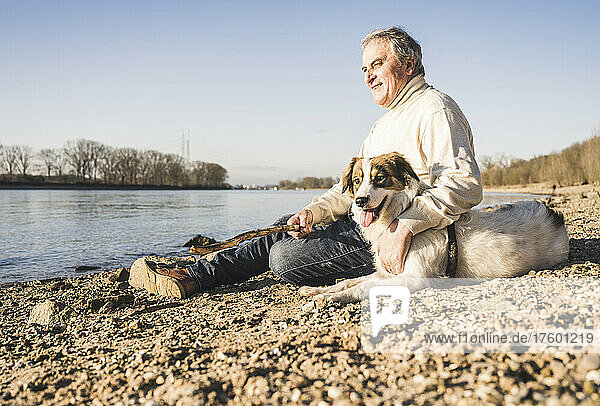 Lächelnder Mann hält Stock und sitzt an sonnigem Tag mit Hund am Strand