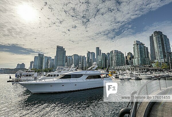 Boats in the marina  high-rise buildings on the promenade  Coal Harbour  Vancouver  British Columbia  Canada  North America