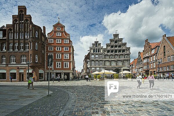 Houses on the market square  Lüneburg  Lower Saxony  Germany  Europe