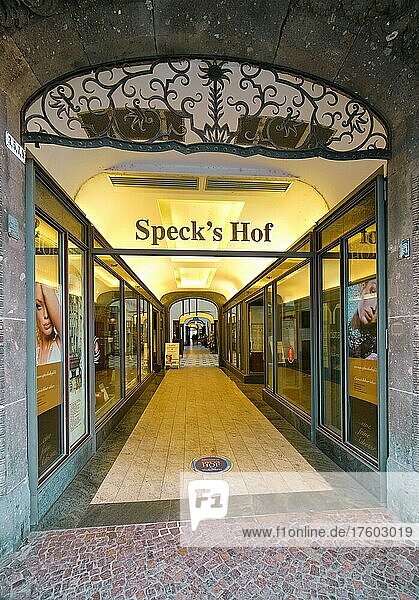 Specks Hof shopping arcade  Leipzig  Saxony  Germany  Europe