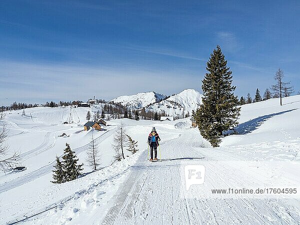 Schneeschuhwanderin in Winterlandschaft  Tauplitzalm  Stieiermark  Österreich  Europa