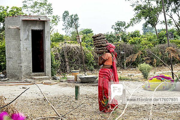 Frau trägt eine Ladung getrockneter Dungfladen auf einem Bauernhof in Indien; Dorf Nagli  Noida  Uttar Pradesh  Indien