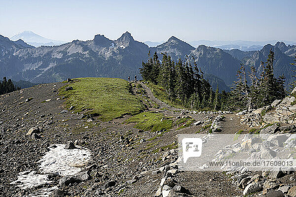 The Skyline Trail offers expansive views of Mount Rainier National Park; Longmire  Washington  United States of America