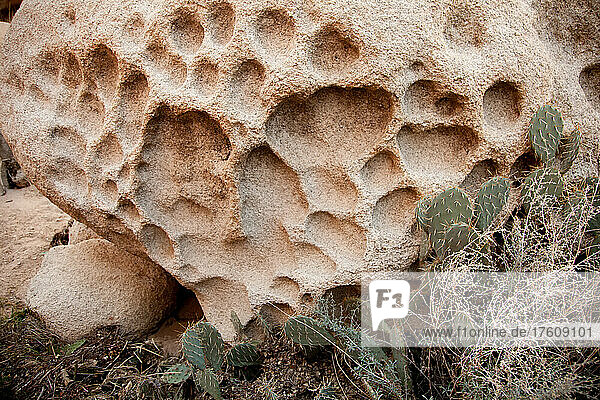 In den Granit des Joshua Tree National Park eingearbeitete Muster.