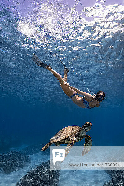 A woman snorkeling at Electric Beach in Oahu with a green sea turtle.