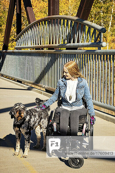 Young paraplegic woman in her wheelchair in a park on a beautiful fall day  stopping to pet a dog on a bridge; Edmonton  Alberta  Canada