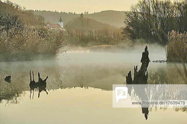 Sonnenaufgang und Nebel über einem Flussarm der Donau mit altem Holz; Tegernheim  Bayern  Deutschland
