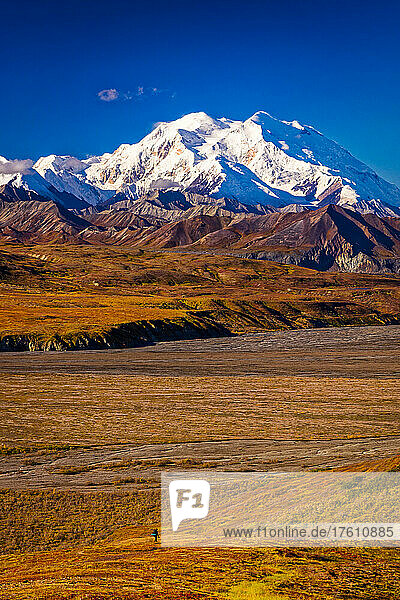 View of Mount Denali (McKinley) and Muldrow Glacier  viewed from Eielson Visitor Center with a lone hiker on the fall colored tundra in autumn; Denali National Park and Preserve  Interior Alaska  Alaska  United States of America