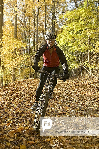 Mountain biker rides on trail in the Fall.; Cabin John  Maryland  near Chesapeake and Ohio towpath.