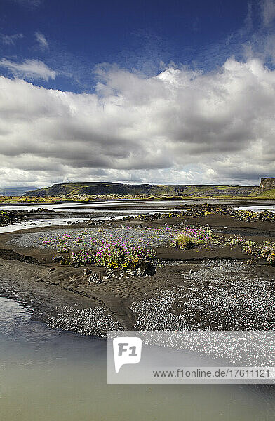 Fluss Brunna  in der Nähe von Nupur  an der Südküste Islands; Island