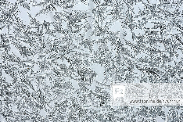 Frost erzeugt faszinierende Muster auf einem Fenster im Winter; Yukon  Kanada