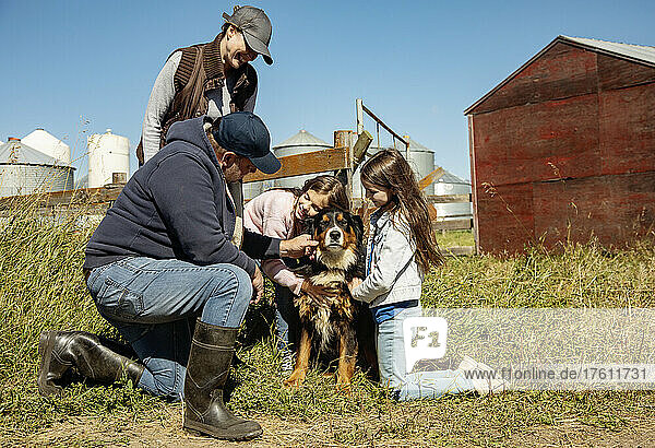 Eltern mit ihren beiden kleinen Mädchen zeigen ihrem Hund ihre Zuneigung auf ihrer Familienfarm; Alcomdale  Alberta  Kanada
