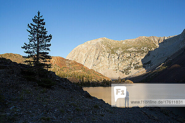 A visitor to Yosemite National Park stands on the rocky shore of Ellery Lake.; Yosemite National Park  California