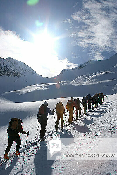 Back country skiiers trudge uphill in a straight line.; Selkirk Mountains  British Columbia  Canada.