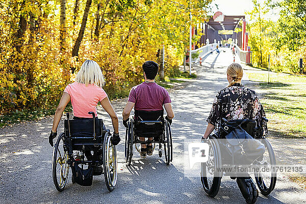 Three young paraplegic friends spending time together moving down a path in their wheelchairs in a city park on a beautiful fall day; Edmonton  Alberta  Canada