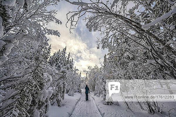Frau geht durch eine Winterlandschaft in Whitehorse  Yukon; Whitehorse  Yukon  Kanada
