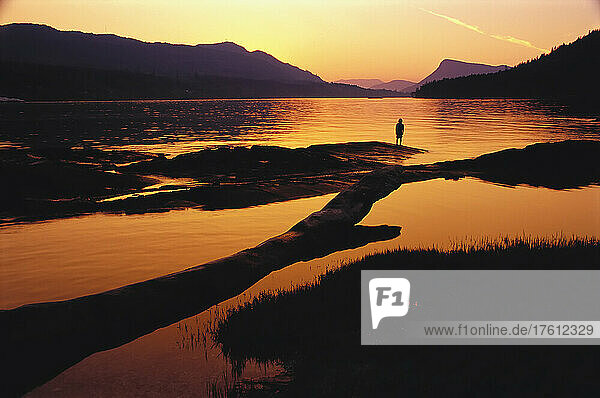Silhouette of Person at Gulf Islands at Sunset  BC  Canada