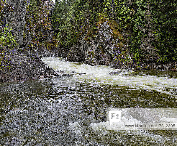 Rushing river in a rugged forested area along Highway 16 between Terrace and Prince George in BC  Canada; British Columbia  Canada