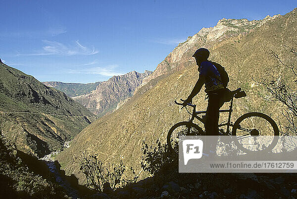 A biker pauses at the rim of a canyon.; Batopillas Canyon  Sierra Madre Mountains  Mexico.