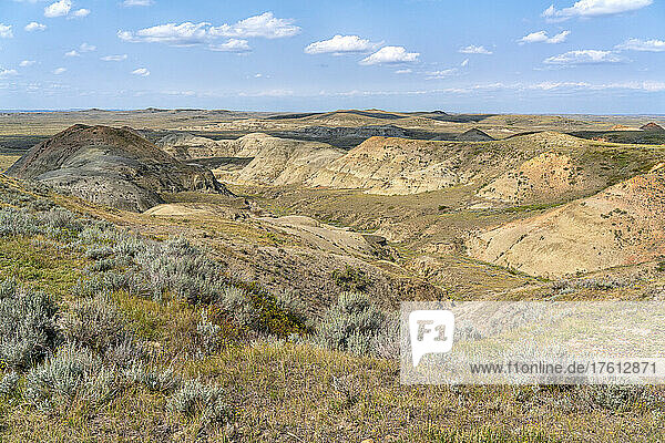 Valley of 1000 Devils in the East Block of Grasslands National Park  which features amazing displays of erosion and geology; Saskatchewan  Canada
