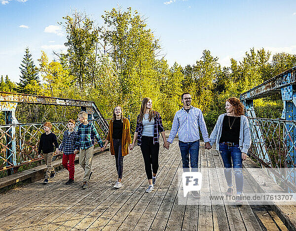 Siebenköpfige Familie geht in einer Reihe und hält sich an den Händen  während sie im Herbst über eine Brücke in einem Stadtpark geht; Edmonton  Alberta  Kanada