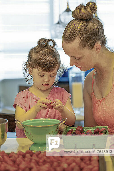 Mutter und kleine Tochter sortieren frische Erdbeeren auf dem Küchentisch zu Hause; Surrey  British Columbia  Kanada