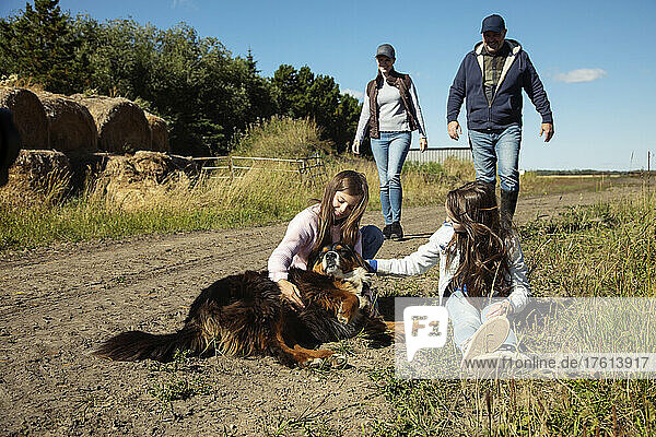 Eltern  die auf einem unbefestigten Weg auf ihre beiden kleinen Mädchen zugehen  die auf dem Boden sitzen und den Familienhund auf ihrer Farm streicheln; Alcomdale  Alberta  Kanada