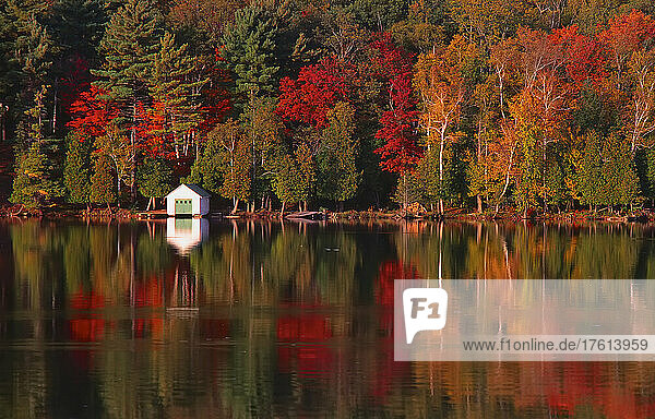 Meech Lake im Herbst  Gatineau Park  Quebec  Kanada
