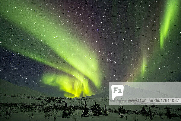 Aurora borealis (oder Nordlicht) am Sternenhimmel über den schneebedeckten Bergen entlang des Dempster Highway im Winter; Yukon  Kanada