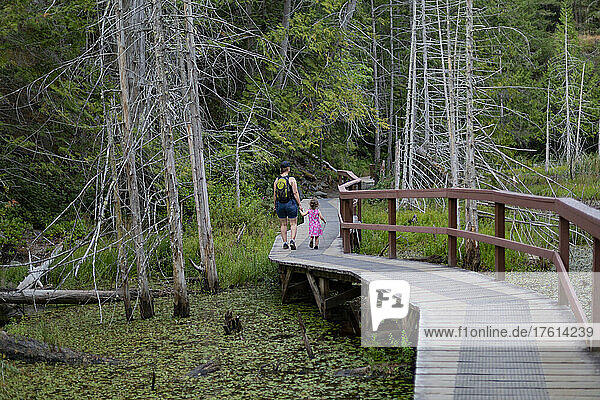 Father walking with his young daughter in Smuggler Cove Marine Provincial Park  Sunshine Coast  BC  Canada; British Columbia  Canada