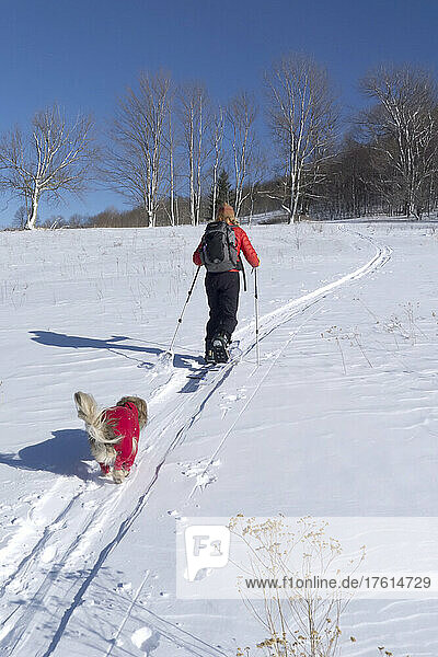 Eine Frau und ihr Hund in roten Flanellunterhosen machen sich auf den Weg zum Skifahren im Hinterland; Canaan Valley  West Virginia.