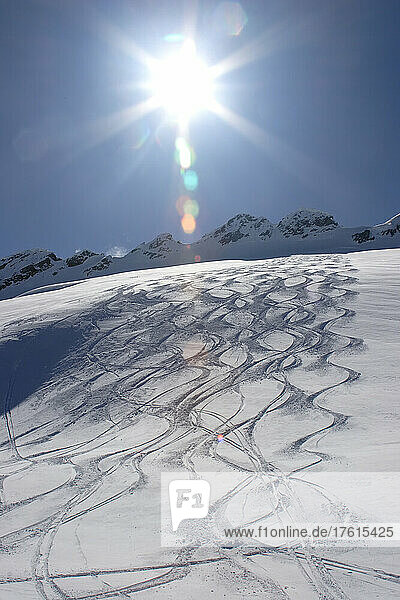 Ski tracks in back country snow.; Selkirk Mountains  British Columbia  Canada.