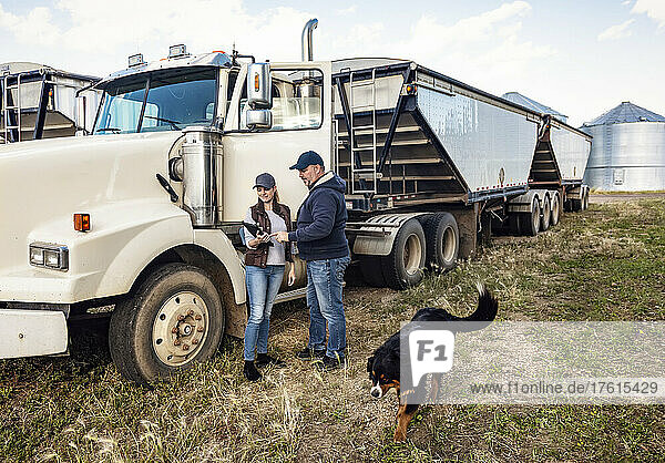 Älteres Ehepaar  das auf seiner Farm arbeitet  neben einem Dieseltransporter steht und seinen Tablet-Computer konsultiert  während sein Hund vorbeiläuft; Alcomdale  Alberta  Kanada