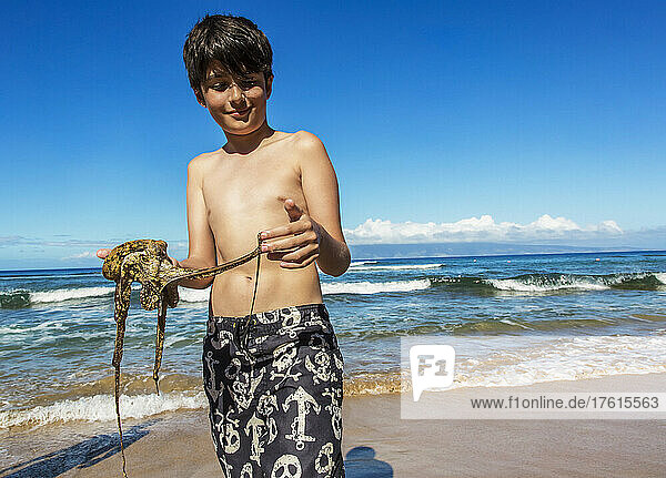 A young boy stands on Ka'anapali Beach at the water's edge holding an octopus; Ka'anapali  Maui  Hawaii  United States of America
