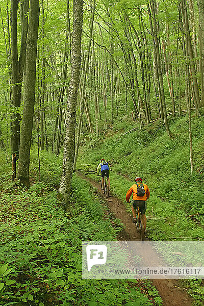 Mountainbikers on Props Run  a single track trail.; Monongahela National Forest  Slatyfork  West Virginia.