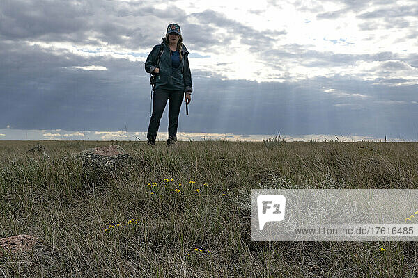 Frau betrachtet eine Klapperschlange  die sich im Gras zusammengerollt hat  während hinter ihr die Sonnenstrahlen auf sie herabstrahlen; Val Marie  Saskatchewan  Kanada