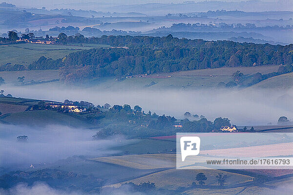 Frühmorgendlicher Nebel auf den Hügeln in Süd-Devon  um Newton Abbot  Devon  Großbritannien; Devon  England