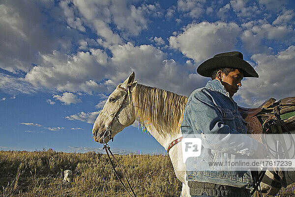 Ein ehemals wildes Pferd arbeitet jetzt mit einem Schafhirten in Wyoming; Savery  Wyoming  Vereinigte Staaten von Amerika